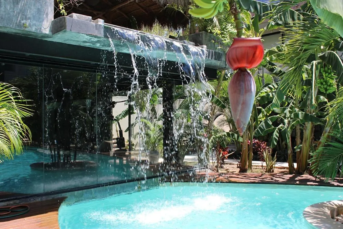 شقة Xperience Tulum 1Br Pool Gym And Yoga Palapa المكسيك